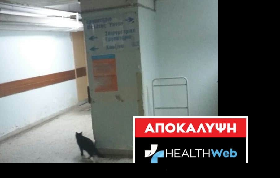 Το Παρασκήνιο:Νοσοκομείο ‘’Σωτηρία’’:Το healthwebgr εντόπισε γάτα στην Κουζίνα & στο Σπιρομετρικό εργαστήριο