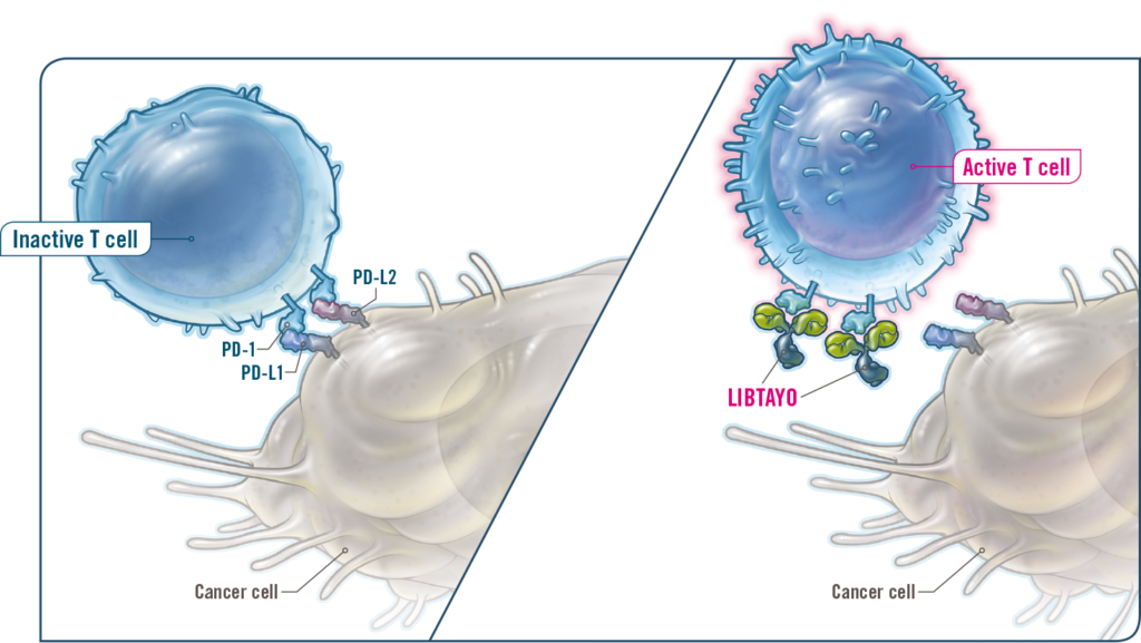 CHMP: προτείνει την έγκριση του cemiplimab