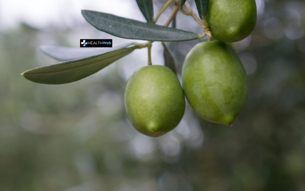 An important initiative on Olive oil and Health by two Greek professors at Yale University