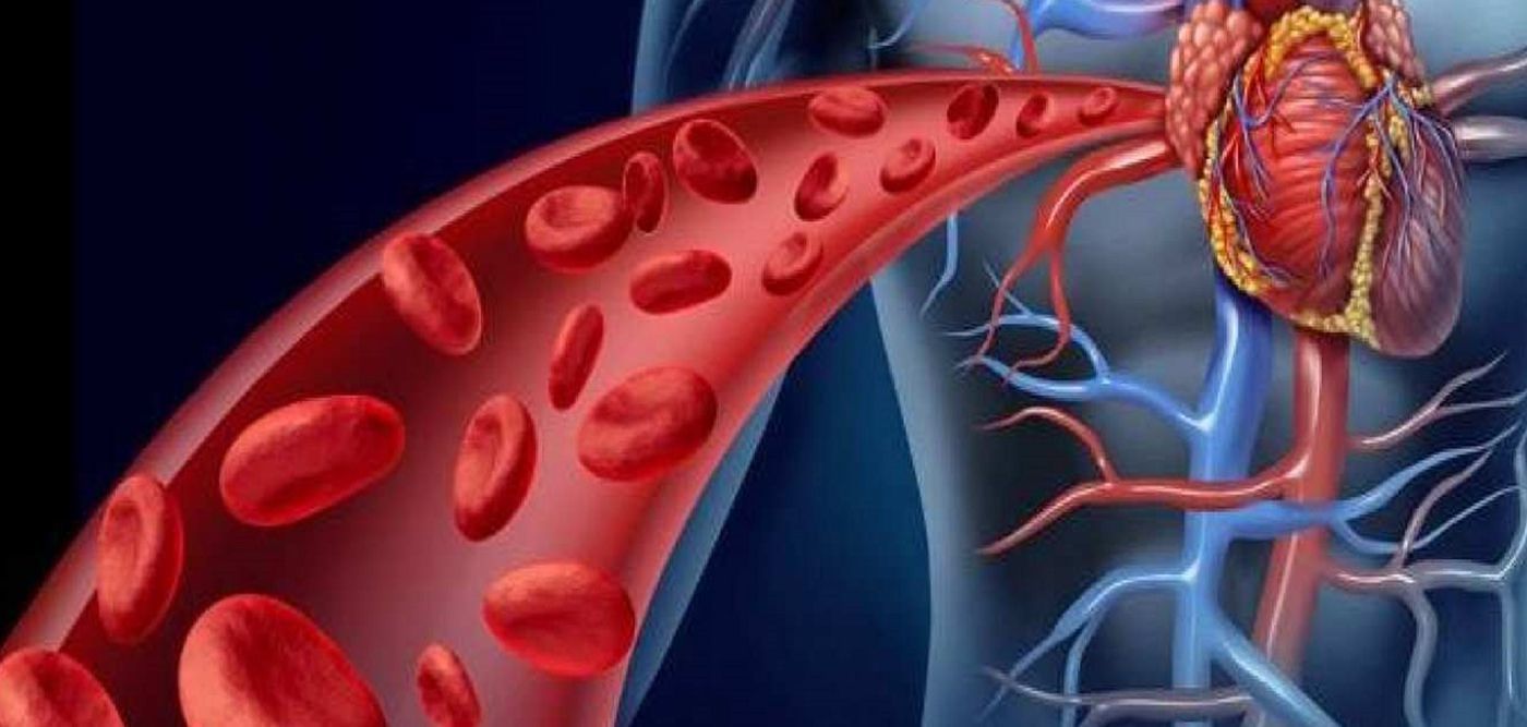 Κύτταρα αιμοφόρα αγγεία: “Κλειδί” για καρκίνο και αμφιβληστροειδοπάθεια
