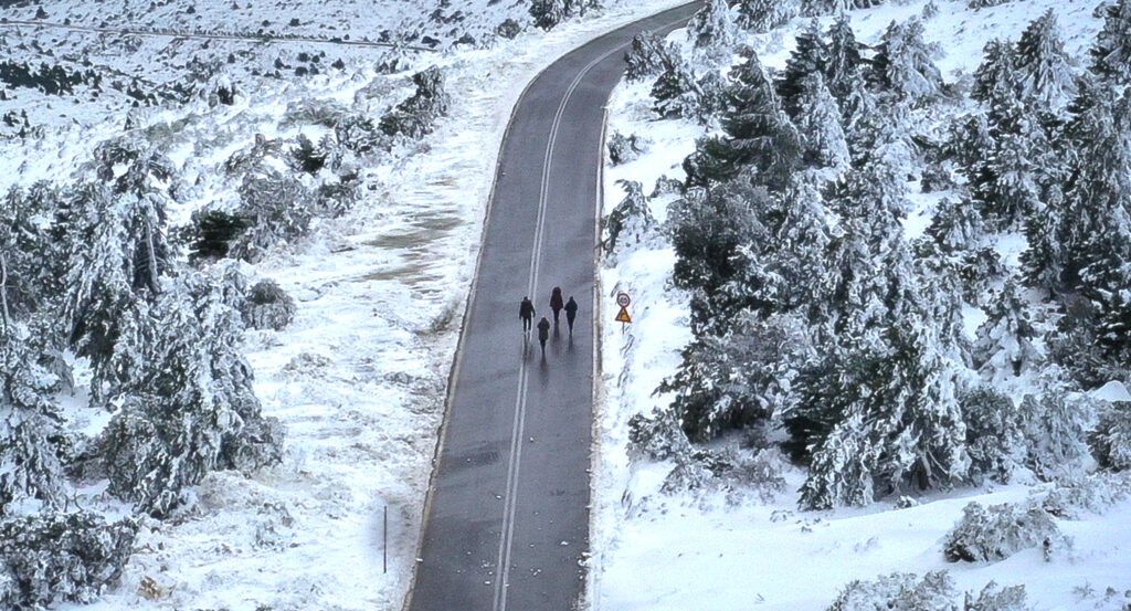 Σε κατάσταση έκτακτης ανάγκης ο Διόνυσος