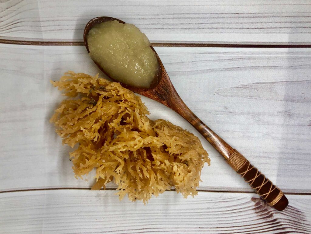 Sea Moss: Το superfood που δεν πρέπει να λείπει από τη διατροφή σας