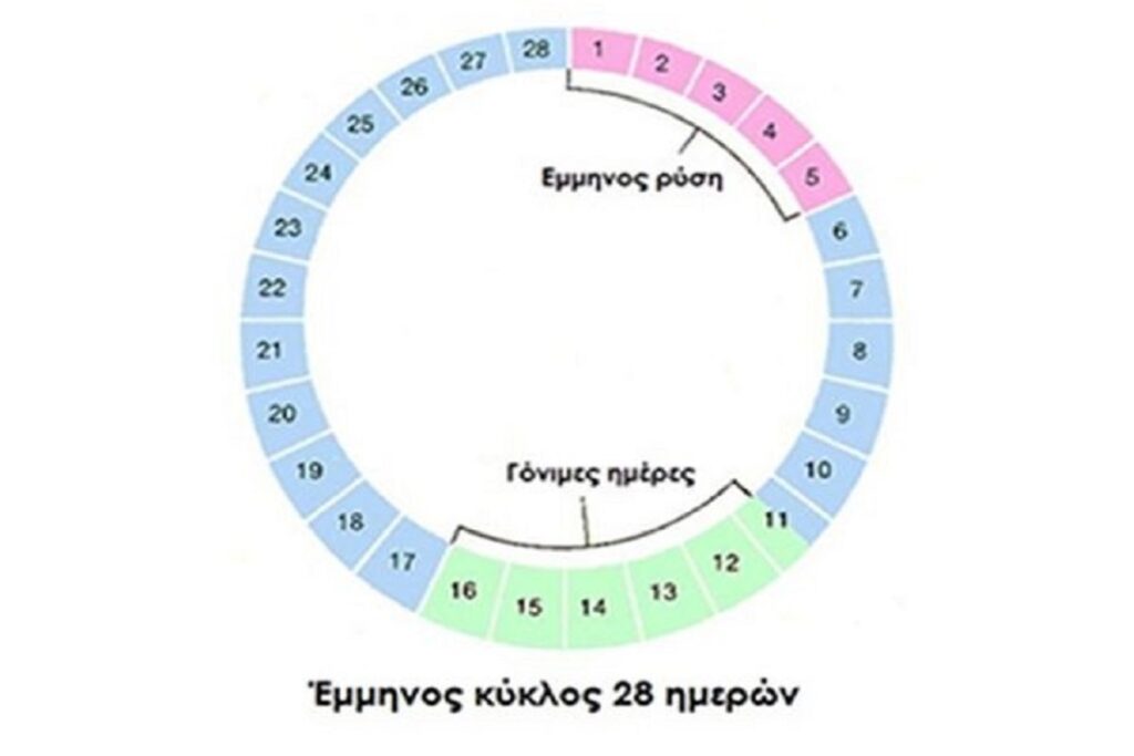 Κατάλληλη διατροφή σε κάθε φάση του εμμηνορροϊκού κύκλου