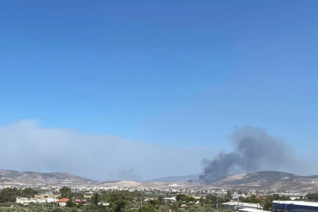 Φωτιά Ποικίλο Όρος: Καίγεται έκταση με χαμηλή βλάστηση στη Ζωφριά, αναζοπύρωση στα Βατερά