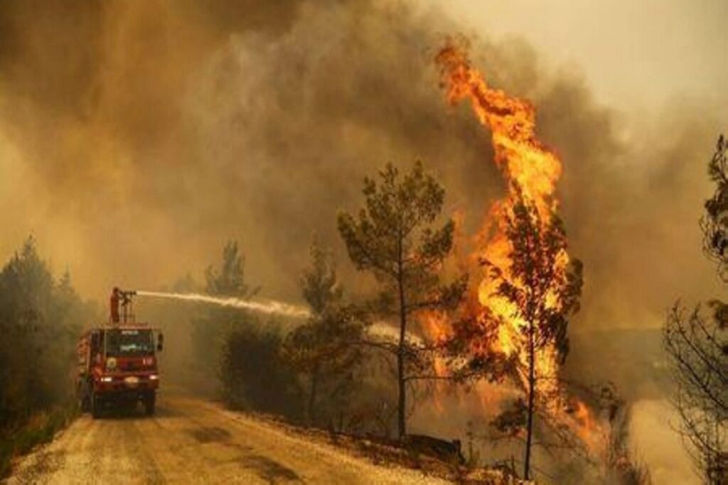 Μεγάλη πυρκαγιά στα σύνορα Γερμανίας-Τσεχίας εξαπλώνεται και απειλεί να καταστρέψει δασικό εθνικό πάρκο δημοφιλές στους τουρίστες.