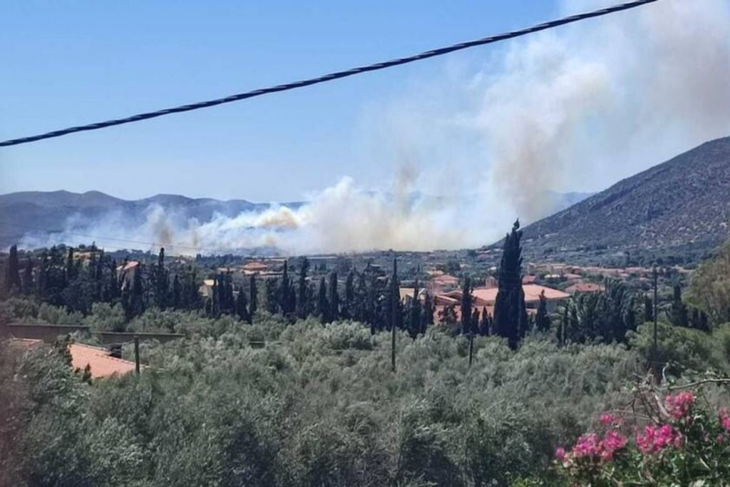 Φωτιά στη θέση Φέριζα Σαρωνικού στη Λαυρεωτική [vid]