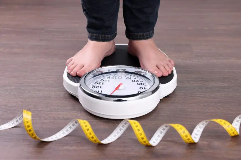 BMI Weight Scale Measuring Tape 777x518 1