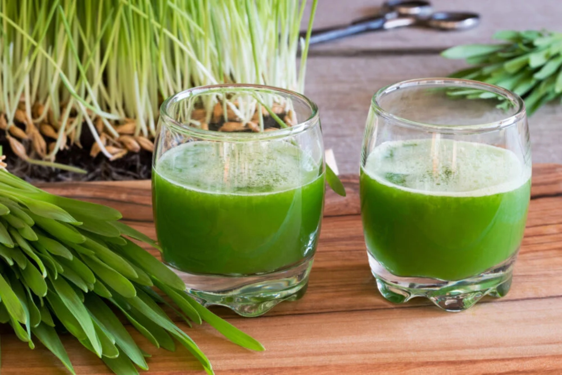 Κριθαρόχορτο χυμός: 7 οφέλη από την κατανάλωση χυμού κριθαριού για την υγεία σας