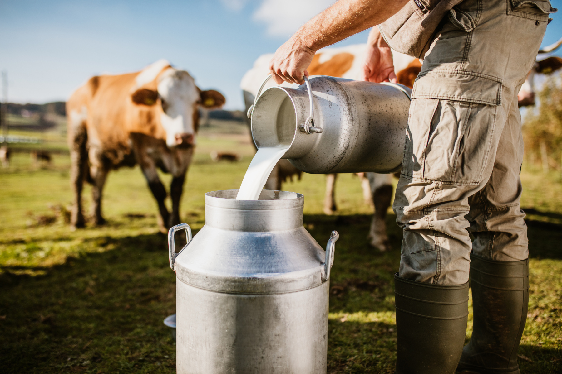 Γάλα: Το αγελαδινό ή το κατσικίσιο θεωρείται καλύτερο γάλα;