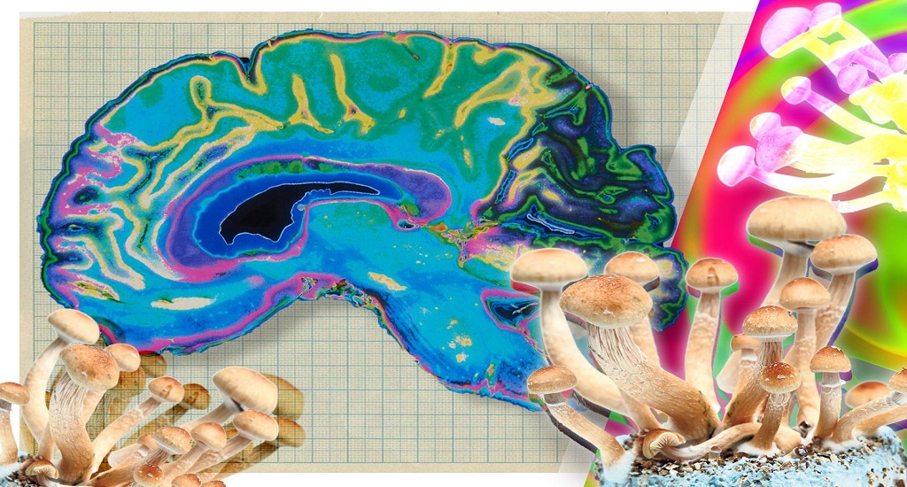 Νευρική Ανορεξία: Μαγικά μανιτάρια βρέθηκε ότι μειώνουν την ψυχοπαθολογία της νόσου