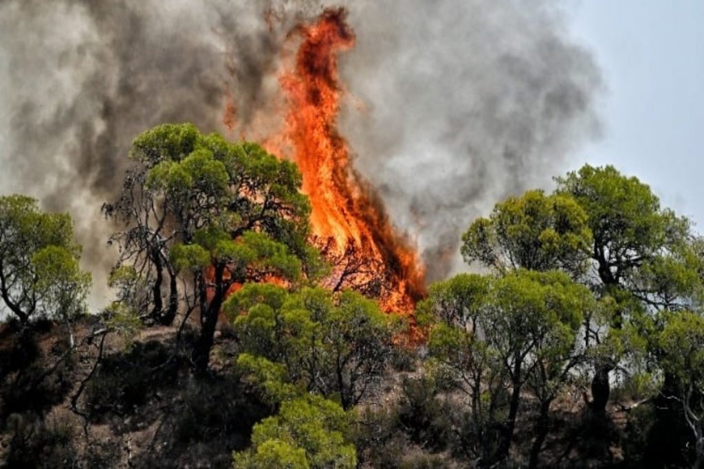 Πολύ υψηλός ο κίνδυνος εκδήλωσης πυρκαγιάς σε 6 Περιφέρειες