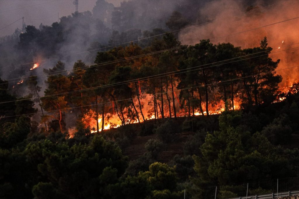 Φωτιά Αλεξανδρούπολη: Μήνυμα εκκένωσης σε 3 οικισμούς - εξαπλώνεται η φωτιά