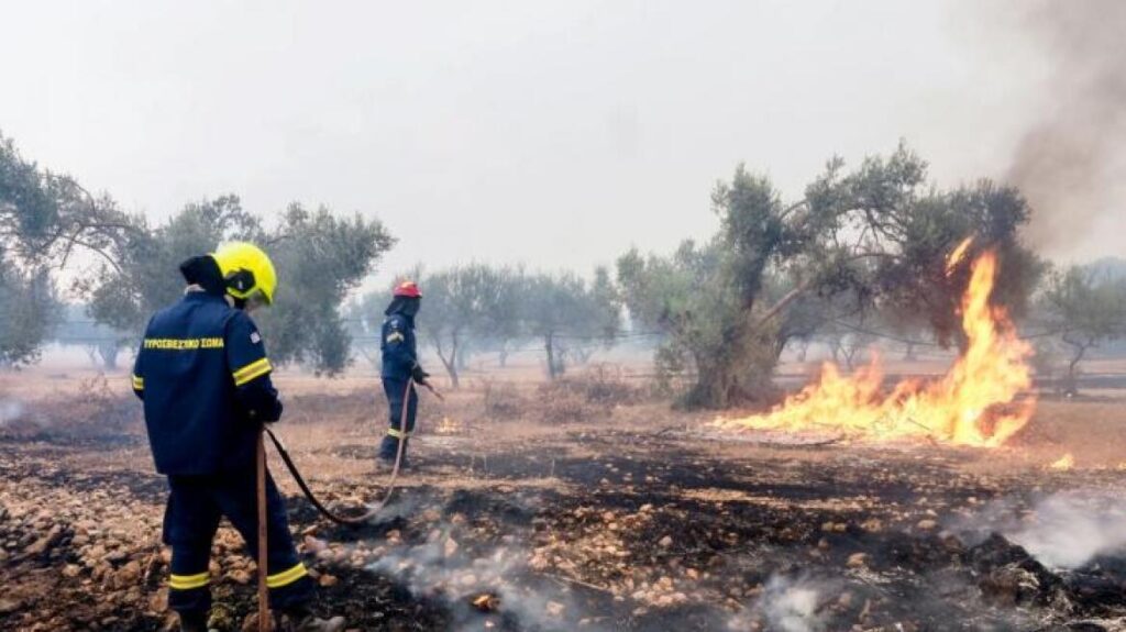 Υπουργείο Υγείας - Συστάσεις για την προστασία από τις πυρκαγιές και τα υπολείμματά τους