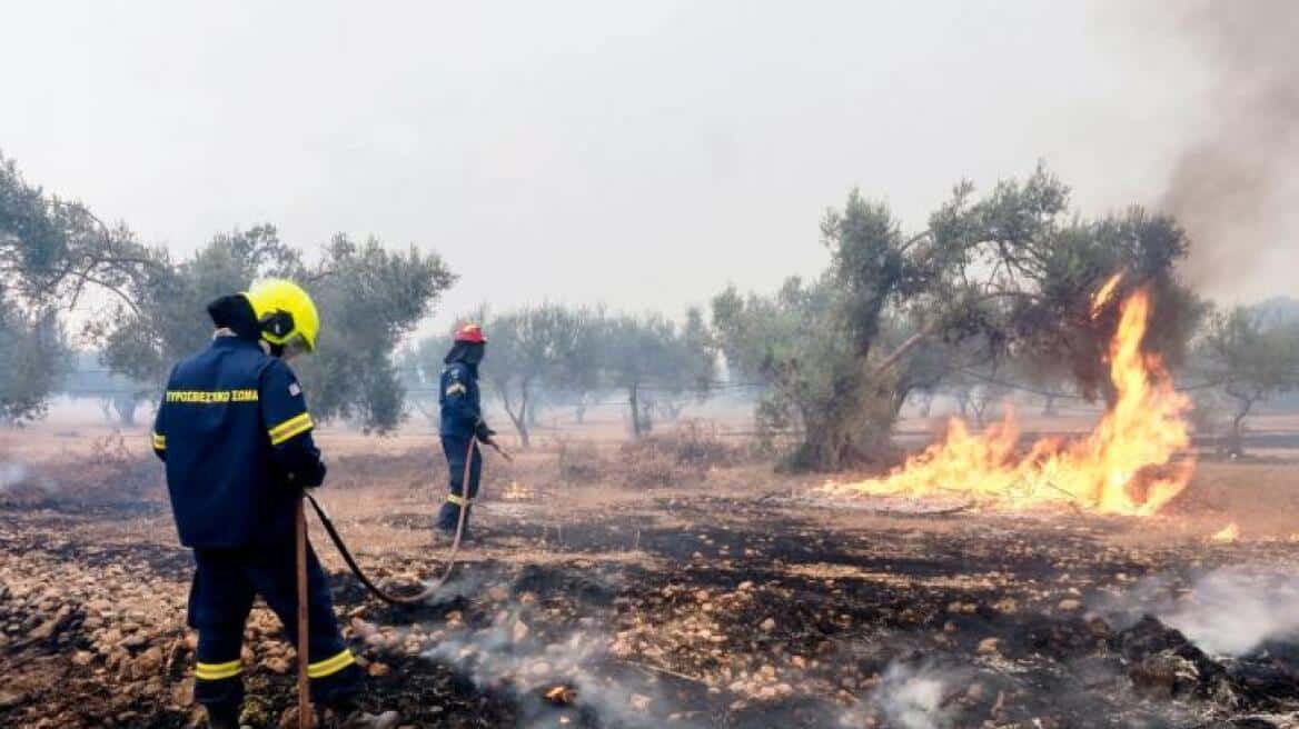 Υπουργείο Υγείας: Συστάσεις για την προστασία από τις πυρκαγιές και τα υπολείμματά τους