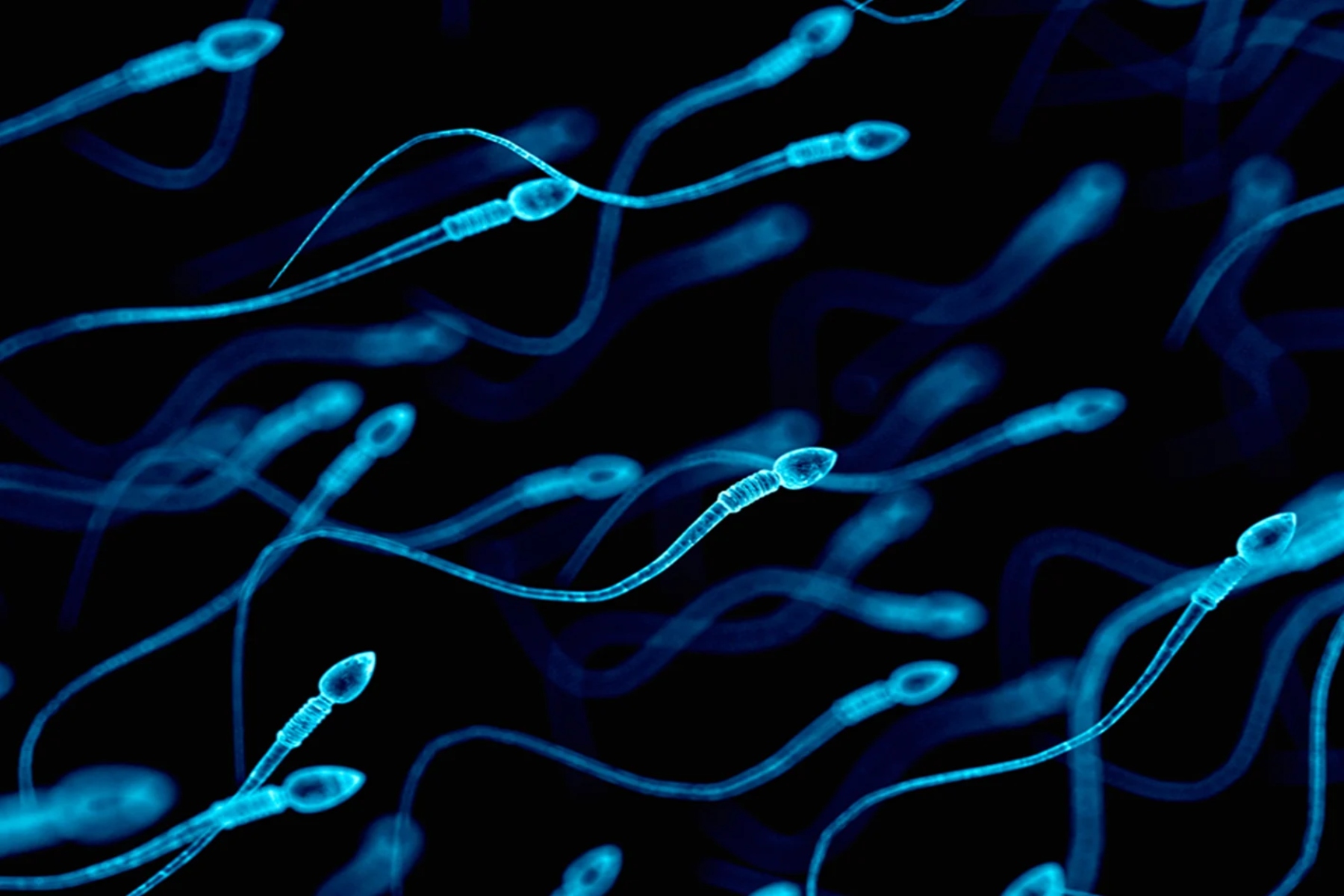 Ανάλυση σπέρματος: Ο ρόλος της ανάλυσης σπέρματος στην αποκάλυψη της ανδρικής υπογονιμότητας