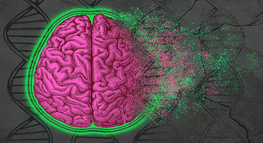 Αλτσχάιμερ: Νέα μελέτη αποκαλύπτει άγνωστες προηγουμένως διεργασίες στον μεταβολισμό του λίπους