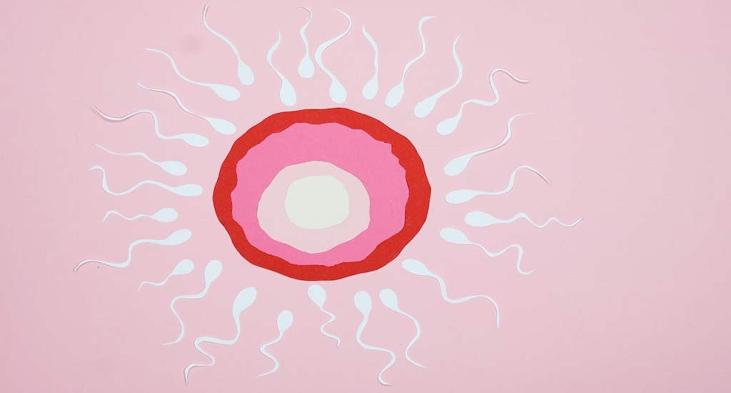 Γονιμότητα: Έκθεση σε εντομοκτόνα και χαμηλότερη συγκέντρωση σπέρματος σε ενήλικες άνδρες