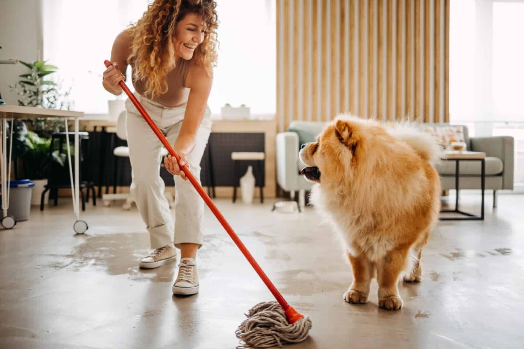 Κατοικίδια: Tips καθαρισμού σπιτιού για όσους έχουν κατοικίδια