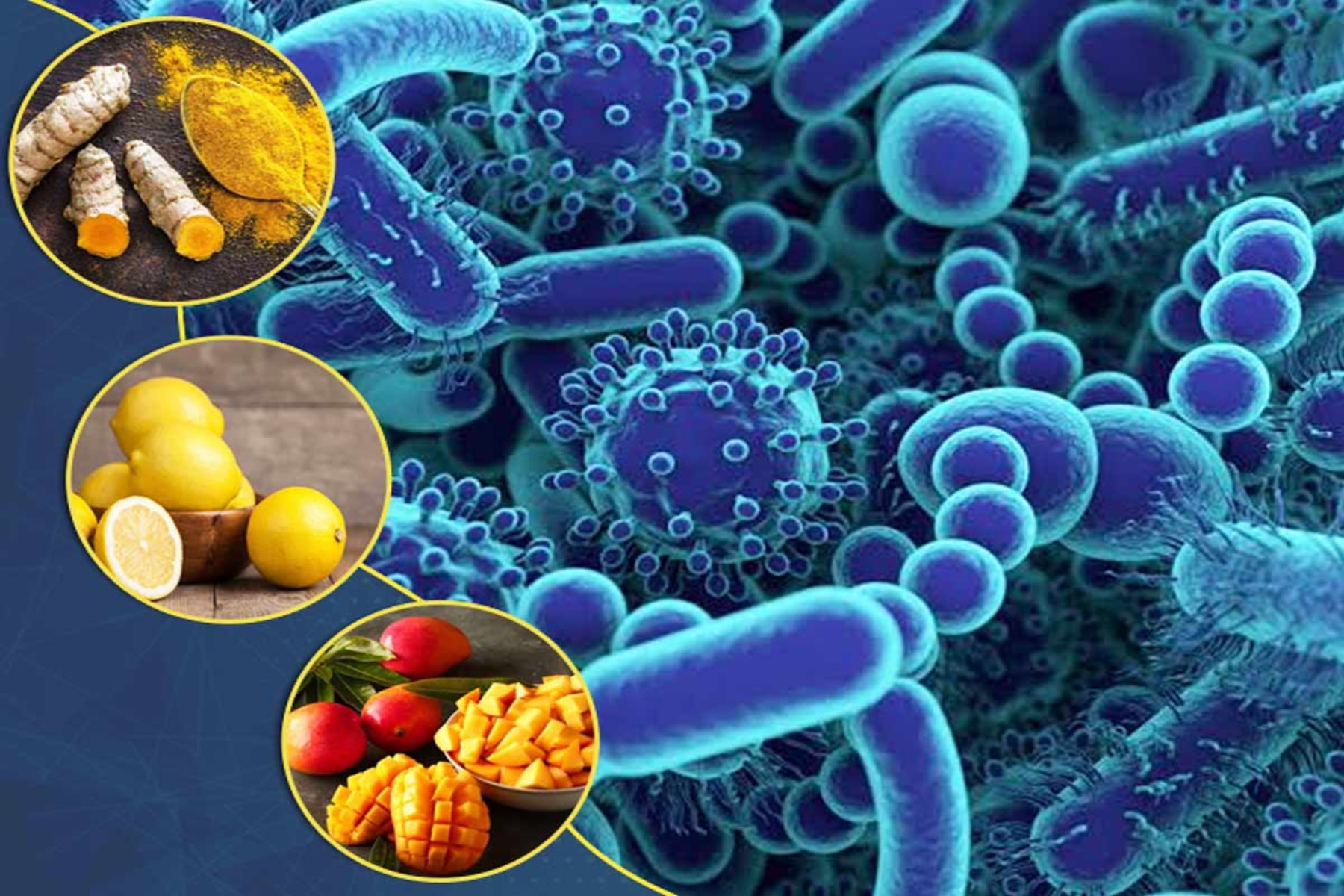 Τρόφιμα βακτήρια: Βακτηριακοί κίνδυνοι στα καθημερινά τρόφιμα