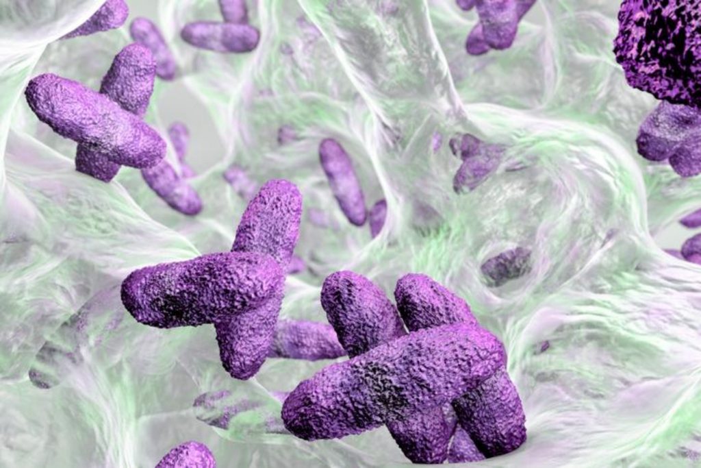 Klebsiella: Ασιατικό υπερμικρόβιο εξαπλώνεται στα νοσοκομεία της Ευρώπης