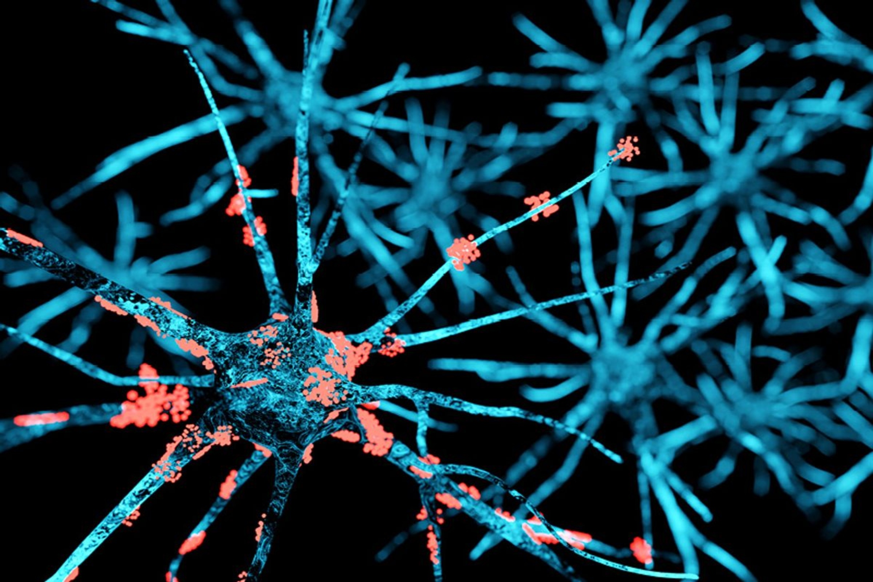 ALS: Ποια γονίδια συνδέονται με την απώλεια εγκεφαλικών κυττάρων;