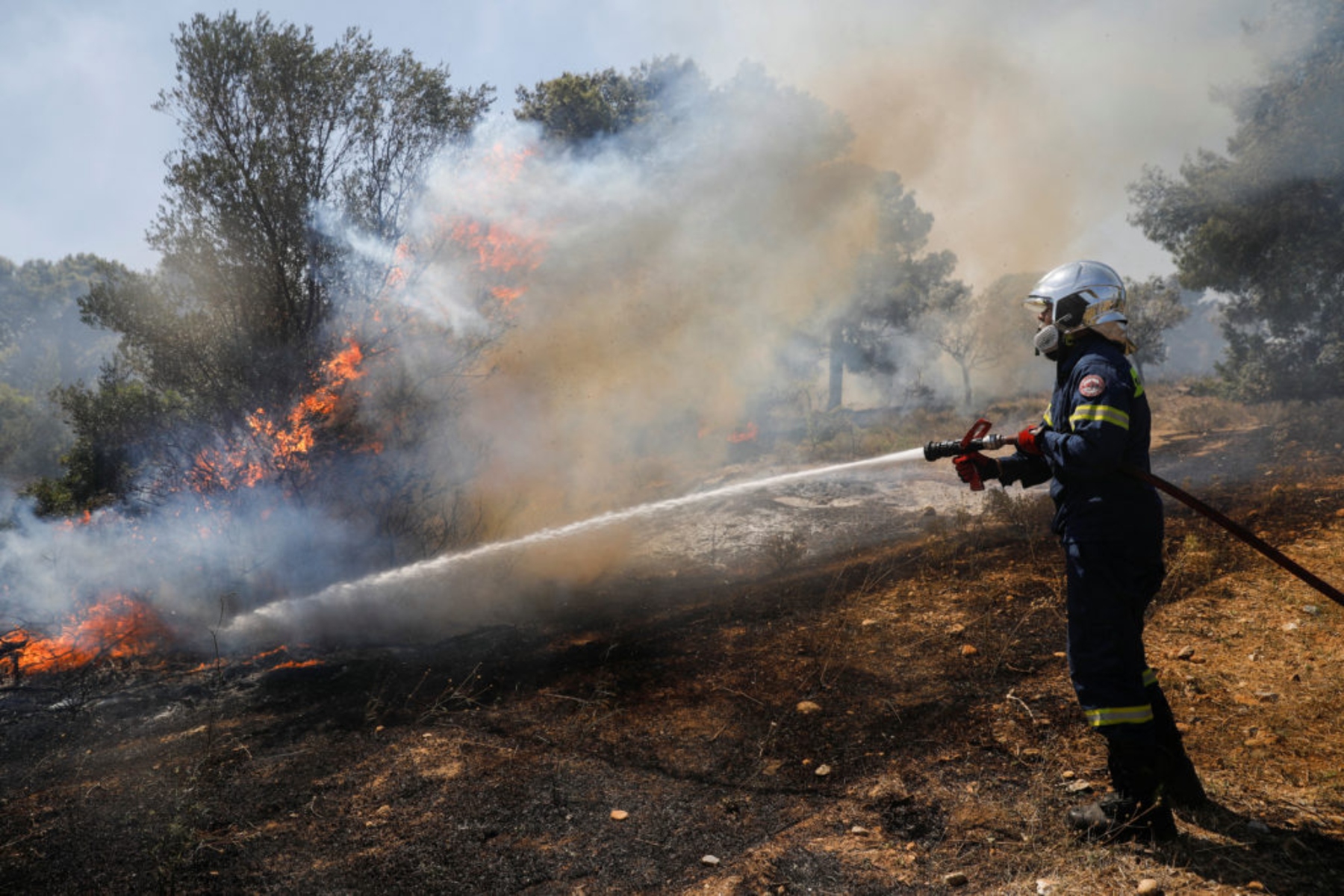 Φωτιά τώρα Αφίδνες: Επιχειρεί η Πυροσβεστική τώρα στο σημείο