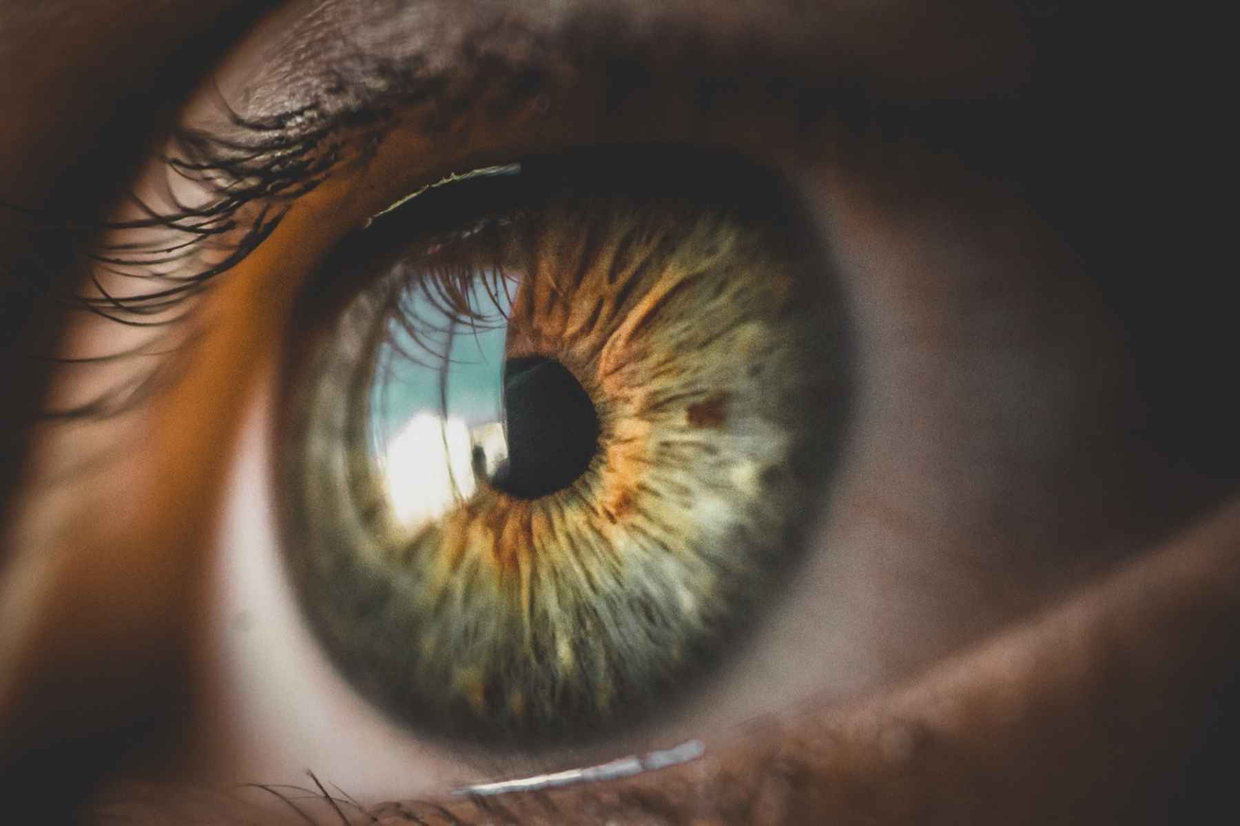 Εκφύλιση ωχράς κηλίδας: Επαναστατική θεραπεία υπόσχεται να αντιστρέψει τη γήρανση των ματιών