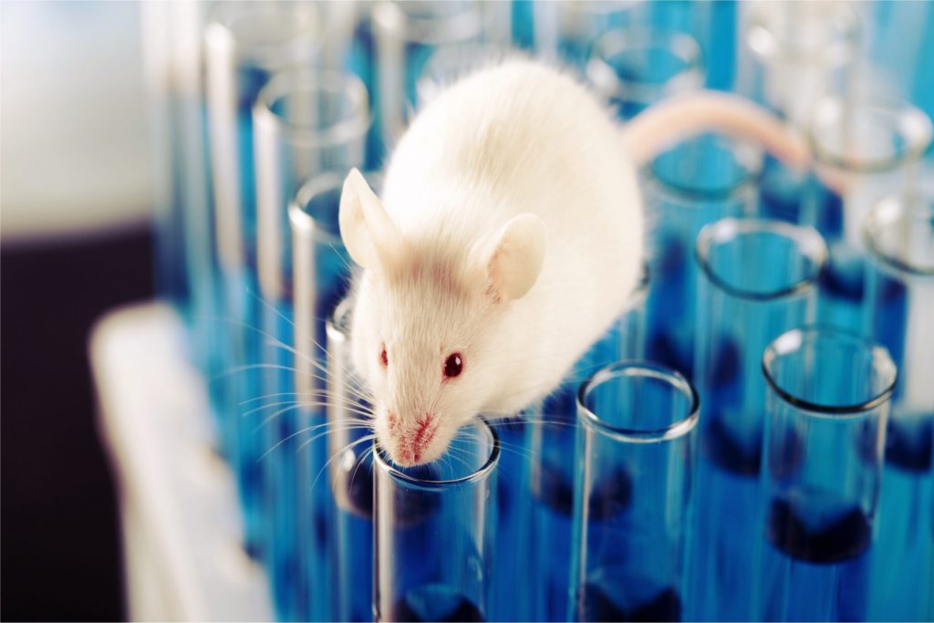 Μόλις 1 στις 20 μελέτες σε ζώα αποδίδουν θεραπείες που προχωρούν στον άνθρωπο