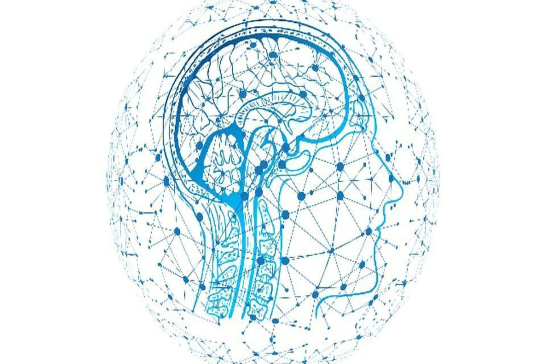 Brain-Computer: Mη επεμβατική διεπαφή εγκεφάλου-υπολογιστή επιτρέπει τη χειραγώγηση αντικειμένων ελεγχόμενη από τη σκέψη