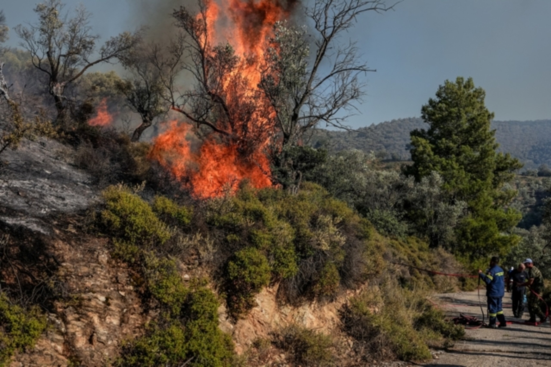 Φωτιά στην Εύβοια: Μήνυμα 112 στον Αλμυροπόταμο