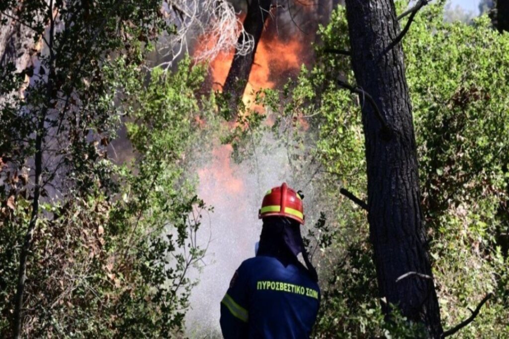 Πυρκαγιά στον Προφήτη Ηλία και το Θράψανο Ηρακλείου