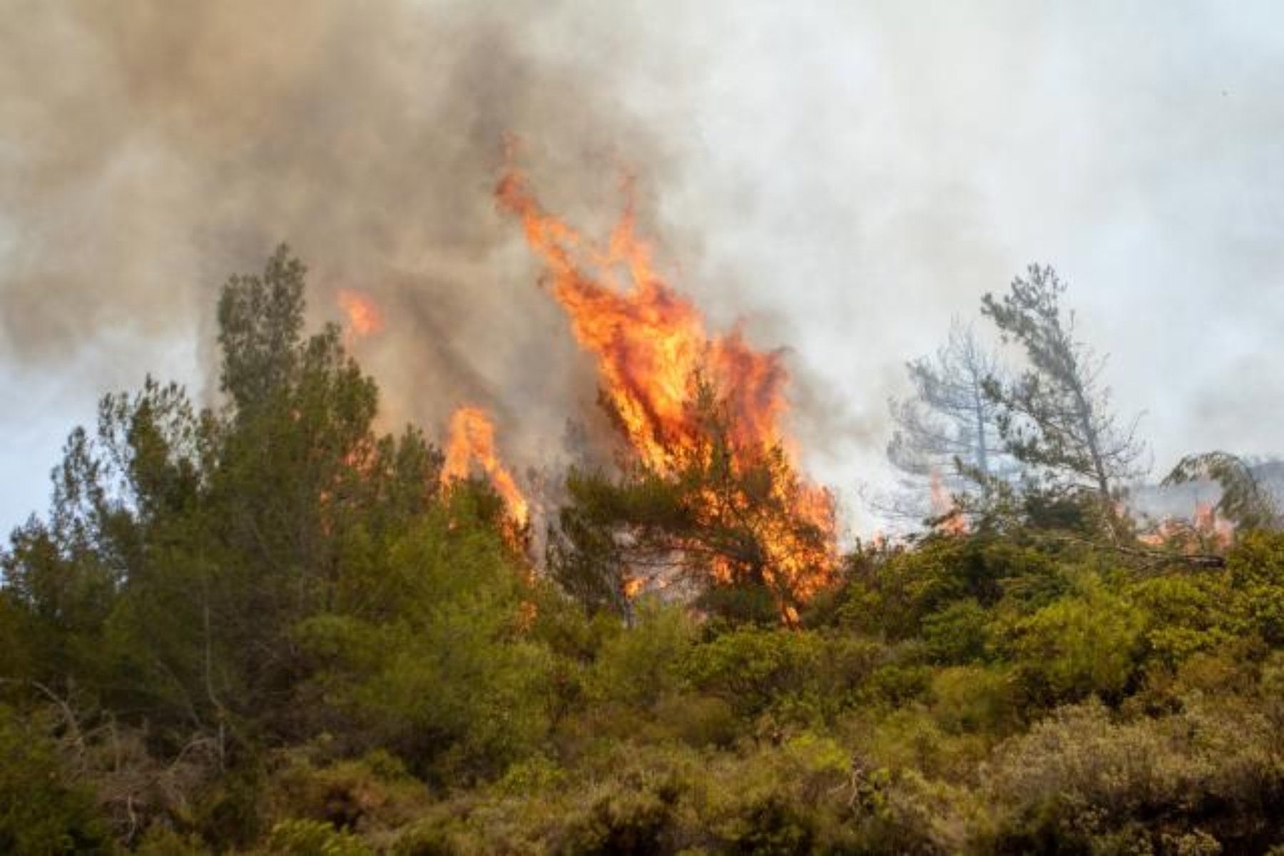 Κίνδυνος πυρκαγιάς 10/08: Πολύ υψηλός ο κίνδυνος στην Κρήτη και το Βόρειο Αιγαίο