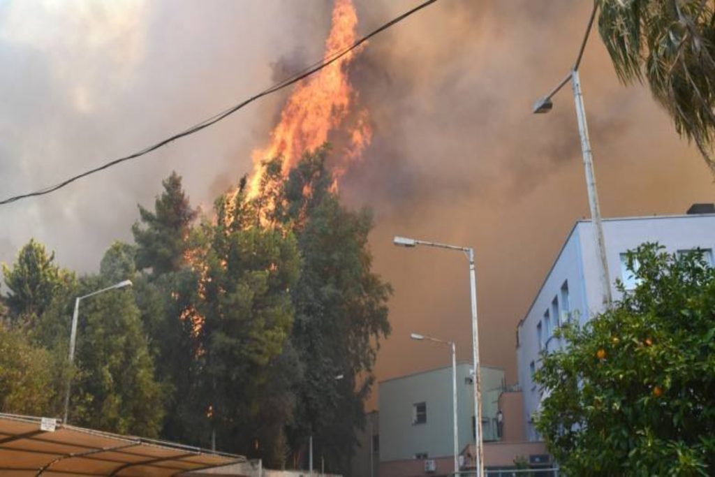 Καραμανδάνειο Γεωργιάδης: 