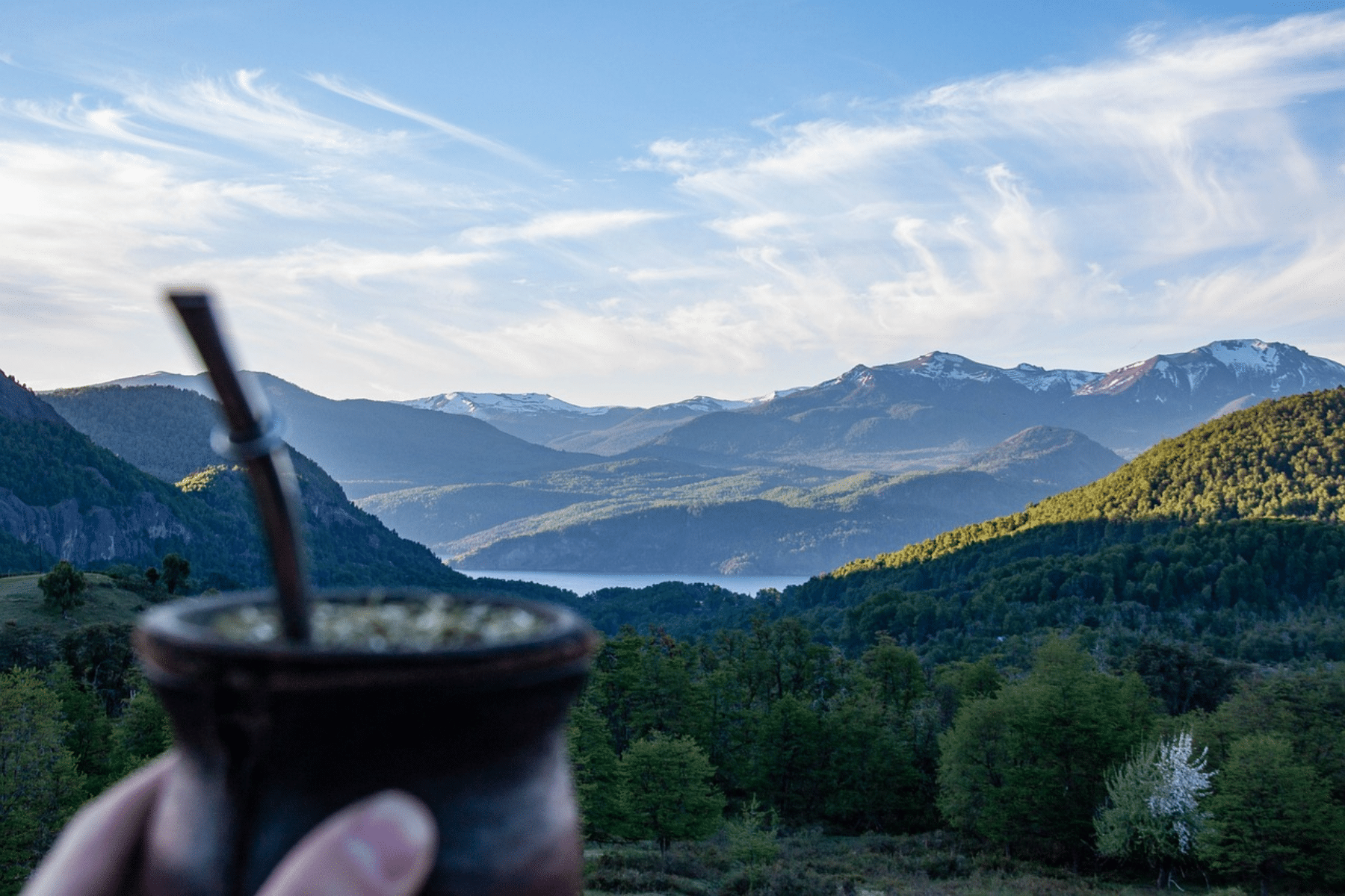 Yerba Mate: Το παραδοσιακό ποτό που ωφελεί την υγεία μας