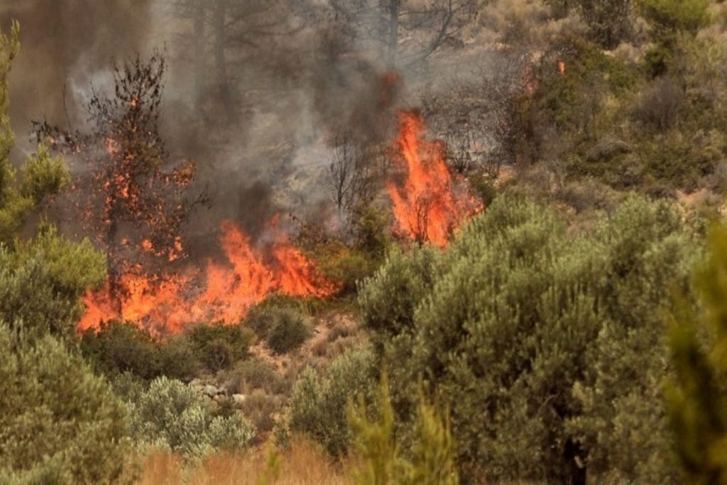 2η ημέρα πυρκαγιάς στο όρος Παγγαίο στην Καβάλα