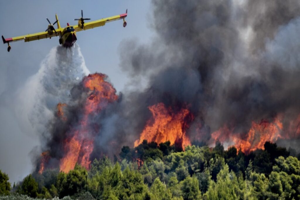 Υψηλός κίνδυνος πυρκαγιάς σε όλη τη χώρα και σήμερα