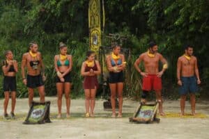 Survivor kitrini omada 1